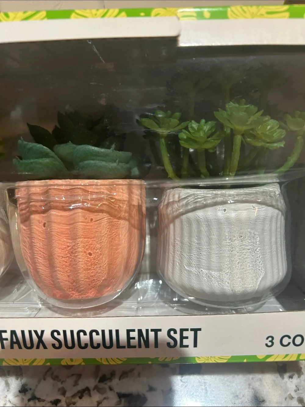 FESTIVE VOICE PITTED FAUX SUCCULENT SET NWT